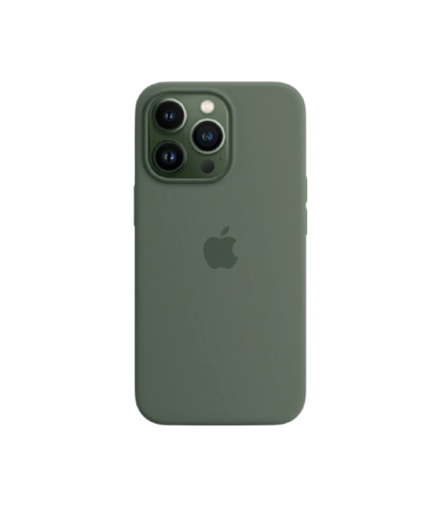 Silicone Case with MagSafe EucalyptusApple iPhone 13 Pro (MN673)